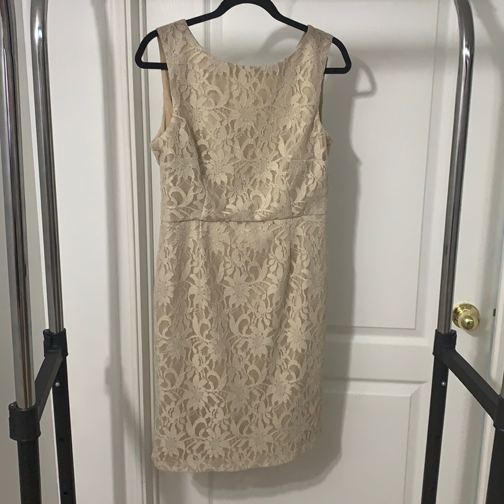 Beige Lace Le Château MidLength Dress